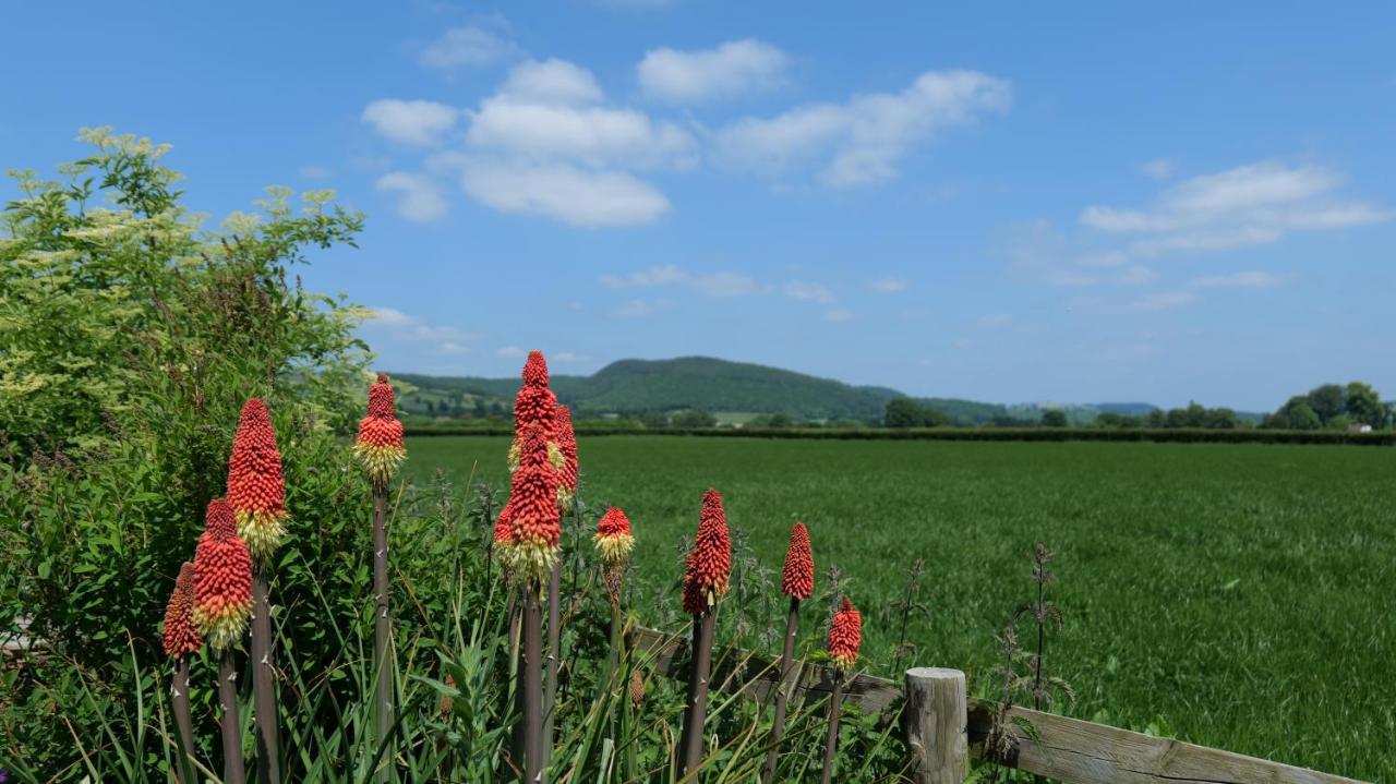 Country Cottage With Far Reaching Views Presteigne Buitenkant foto